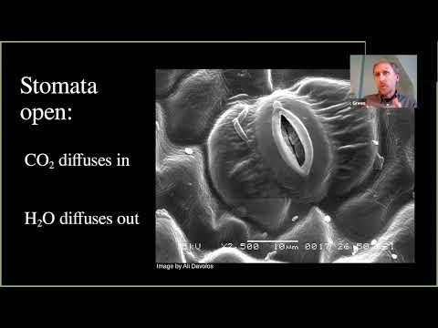 Science of Origins: Climate Change Impacts on Water in Northeastern U.S. Forests