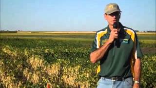 preview picture of video 'Date and Rate of Planting in Dry Beans'