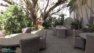 preview picture of video 'Hotel Alta, Santa Ana, San José - Costa Rica'