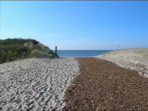 Aerodive - Summer Dive (Icone Remix)