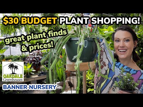 $30 BUDGET Plant Shopping & Plant Haul! - Oakdale Greenhouse & Banner Nursery - Charlotte, NC