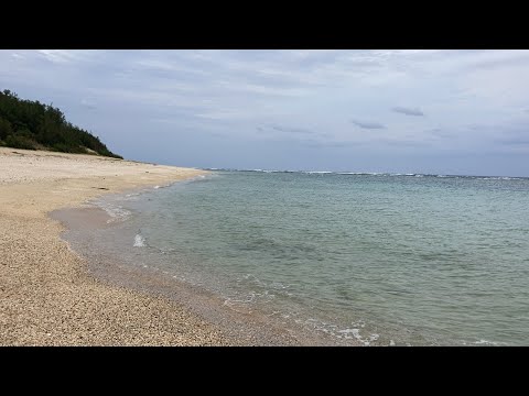 バーチャル散策【喜念浜(徳之島)1/2】喜念浜バス停→ビーチ