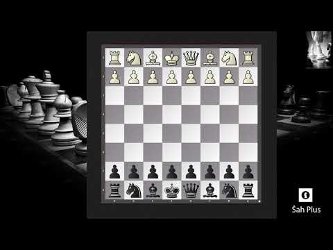 Staford Gambit – Greške u Šahovskim Otvaranjima na Šah Plus Kanalu