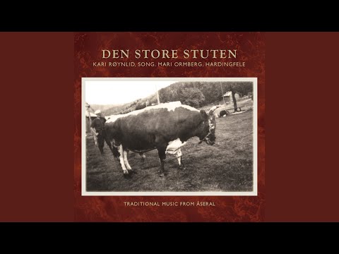 Tor Brynjulv og fluga