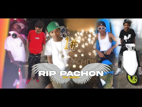 OG Sosa - RIP PACHON #1 🕊️💔