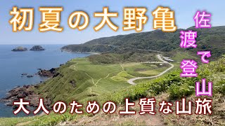 初夏の佐渡、大野亀の頂へ！思い立ったその瞬間が、人生の岐路になる！今こそ、佐渡（大野亀）へ！新潟県佐渡市【山と音楽　m♪し音】