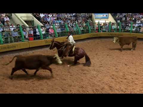 Justiceiro do Mano a Mano no Freio de Ouro 2016