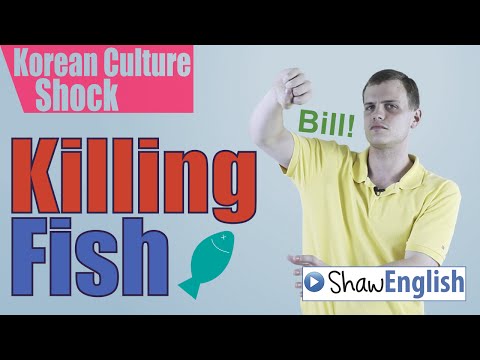 カルチャーショック韓国。魚を殺す (Culture Shock Korea: Killing Fish)