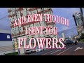 Bibio - all the flowers (lyric video)