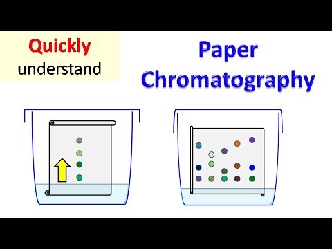 Paper Chromatography