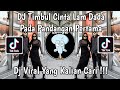 DJ TIMBUL CINTA LAM DADA PADA PANDANGAN PERTAMA DJ TIA MONICA VIRAL TIKTOK 2025