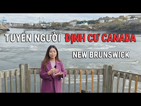 Video hướng dẫn định cư và việc làm tại New Brunswick Canada