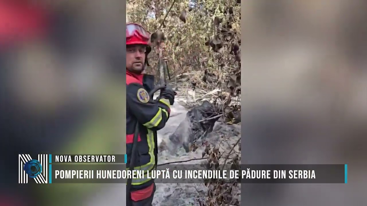 Pompierii hunedoreni luptă cu incendiile de pădure din Serbia