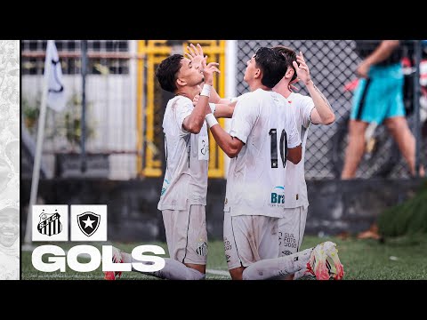 SANTOS  4 x 1  BOTAFOGO | GOLS | BRASILEIRÃO SUB-20