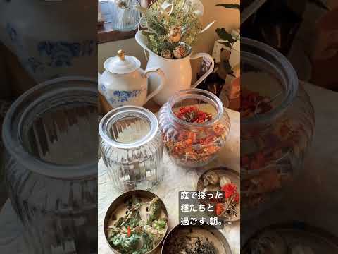 園芸 種子の傷付け