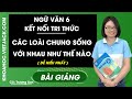 Các loài chung sống với nhau như thế nào | Ngữ Văn 6 - Kết nối tri thức