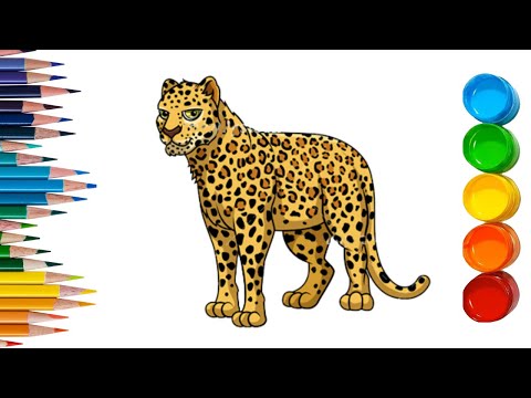 Leopard Coloring Pages, How to Color Wild Animals, Leopard Drawing
