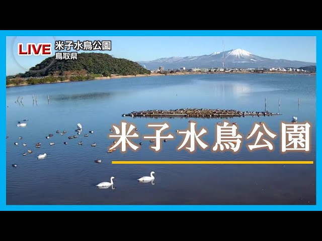 野鳥たちで賑わう 米子水鳥公園 cctv 監視器 即時交通資訊