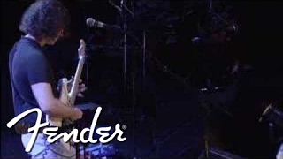 Dweezil Zappa 'Black Napkins' | Fender