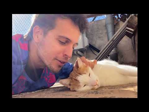 STAY HOMAS - XINU XANU (unofficial gatetes video)