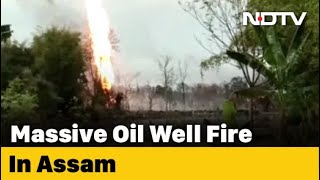 Compensation For Officials Who Died In Assam Fire, 12 Relief Camps Set Up | DOWNLOAD THIS VIDEO IN MP3, M4A, WEBM, MP4, 3GP ETC