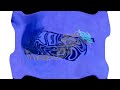 Klasky Csupo Effects 1 In Easter Major