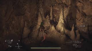 DLC向けてのドラゴンズドグマ２放送