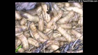 miserykilla: sewer ghoul