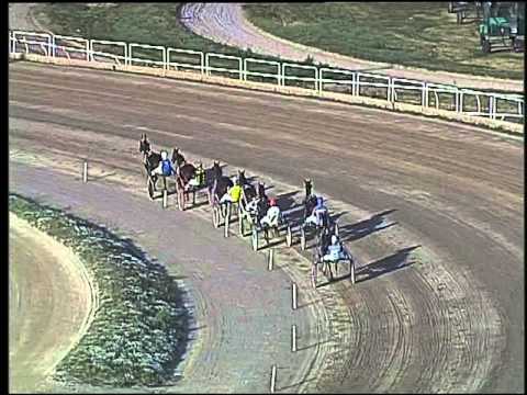 Trotto 04/10/2015 - prova di riqualifica