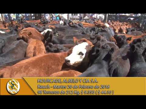 20-02-18 Venta de Terneros - Hourcade, Albelo y Cia S.A. - Rauch.