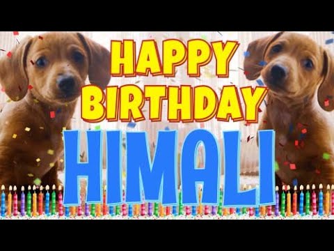 Happy Birthday Himali! ( Funny Talking Dogs ) What Is Free On My Birthday