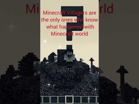Mikeer - Minecraft, Conspiracy theory