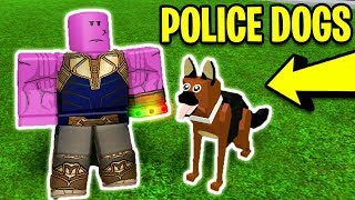 Roblox Mad City Police Dogs Update ฟร ว ด โอออนไลน ด ท ว - full guide police dogs update in mad city mad city pets