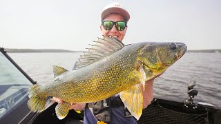 Simple Technique To Catch Summer Walleye (Step By Step)