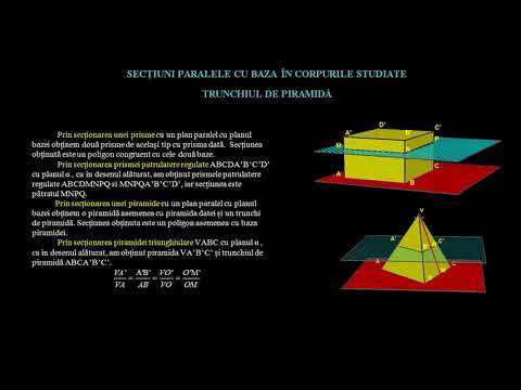 Secţiuni paralele cu baza în corpurile studiate | Lectii-Virtuale.ro