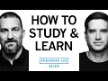 How To Study Learn Using Active Recall Dr Cal Newport Dr Andrew Huberman