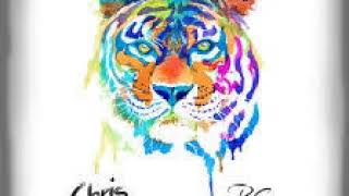 Chris Meid - Eye Of The Tiger (Remix by DJ MarioT)