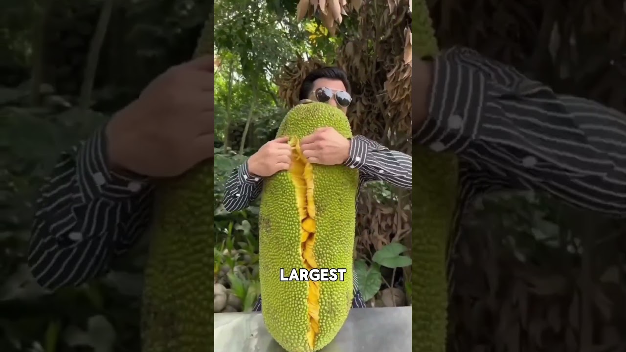 Fruits With Insane Abilities