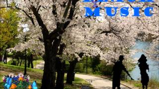 Peter White - For The Love Of You