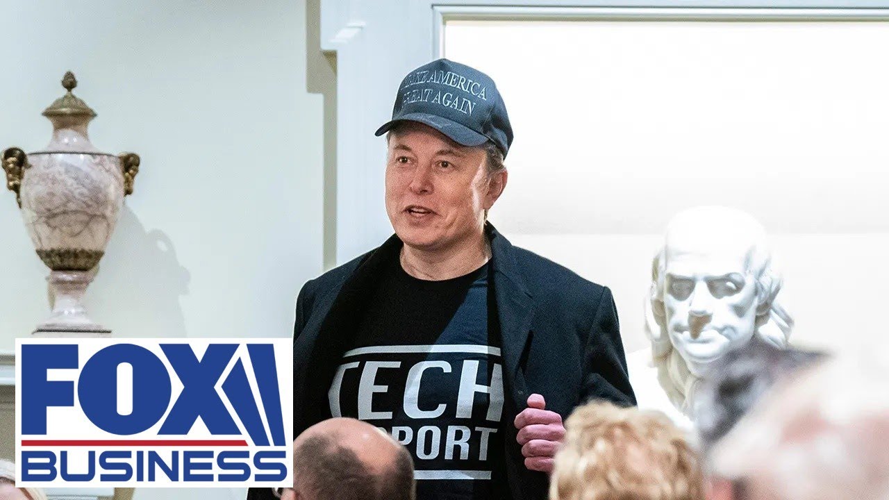Elon Musk is exposing 'grotesque levels' of waste, fraud, abuse, senator says