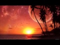 Paul Miller feat. Manuel Le Saux - Sunny Day ...