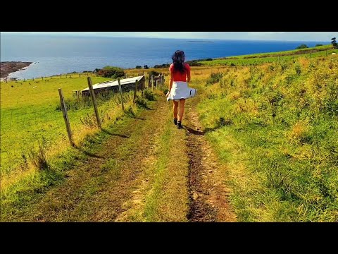 How to Find The Secret Waterfall, one of Ireland's most incredible waterfalls (largy waterfall)