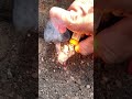 Fire In The Hole Fire Ants Meet DUBBLE U