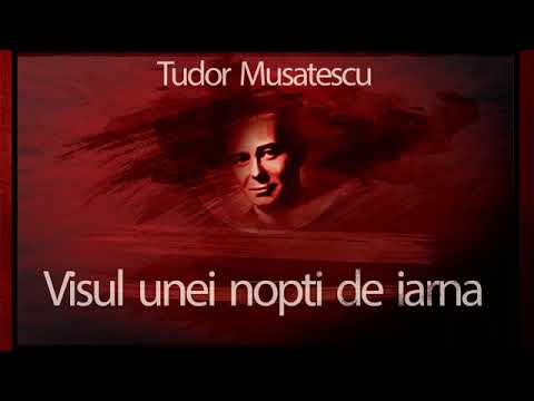 Tudor Mușatescu - Visul unei nopți de iarnă