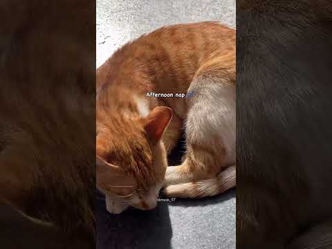 Subscribe Taqwa TV #quran #hadees #tilawat #byan