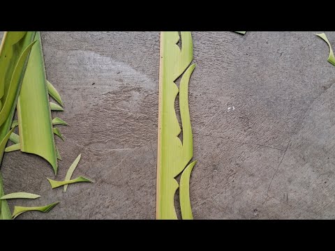 Let's see how to cut a beautiful Gokkala carving...☺️☺️🤩🙏