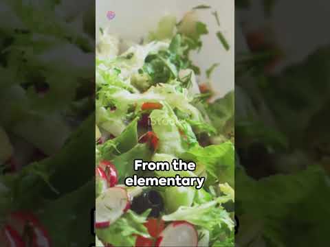 Mastering Low Carb & Keto Diets Your Ultimate Guide #wellnessjourney #healthyfatloss #bellyfatbegone