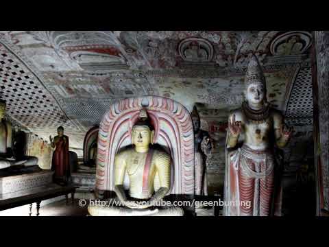 Dambulugale Chithra Somapala