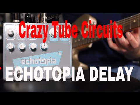 Crazy Tube Circuits Echotopia Delay 2010s - Grey image 9