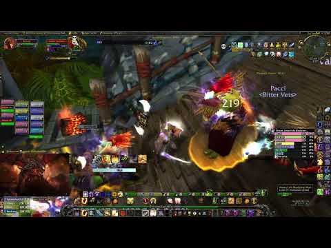 WoW TBC Classic: Zul'Aman Protection Paladin tank full run